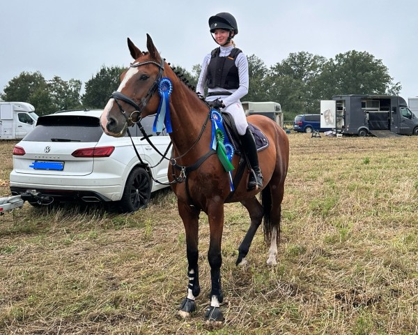 jumper Ivika (Holsteiner, 2016, from Caplan)