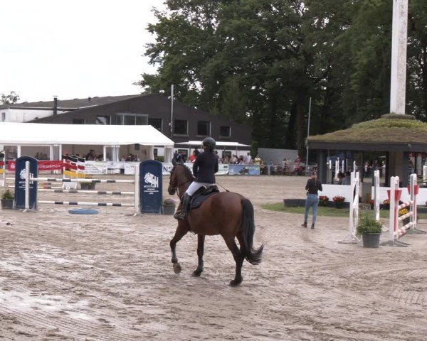 Reitturnier Datteln 2024