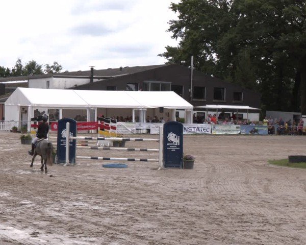 Reitturnier Datteln 2024
