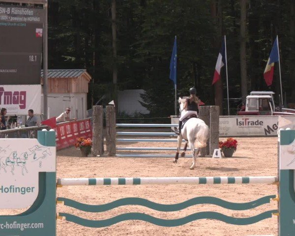 Reitturnier Ranshofen - Braunau am Inn 2024