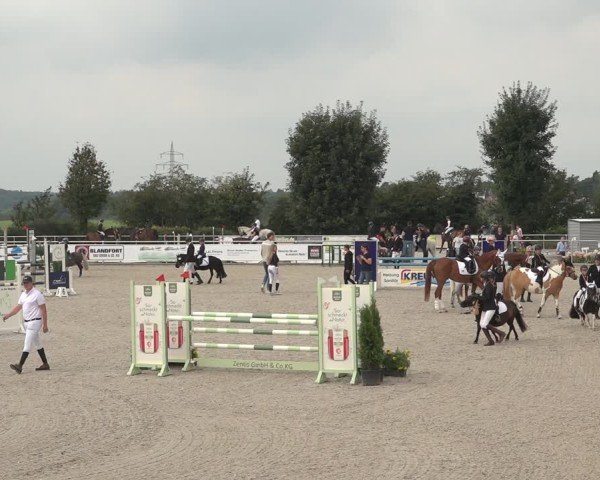 Reitturnier Stolberg-Büsbach 2024