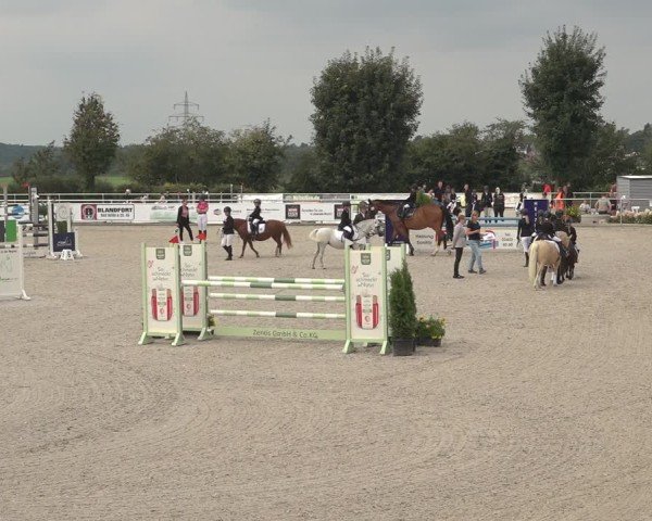 Reitturnier Stolberg-Büsbach 2024
