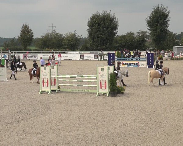 Reitturnier Stolberg-Büsbach 2024