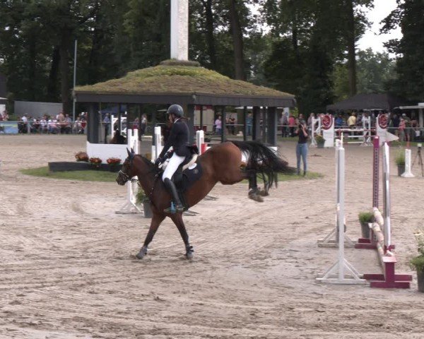 Reitturnier Datteln 2024