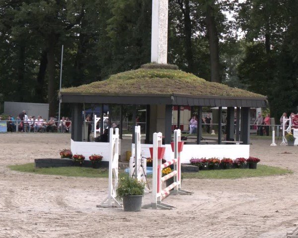 Reitturnier Datteln 2024