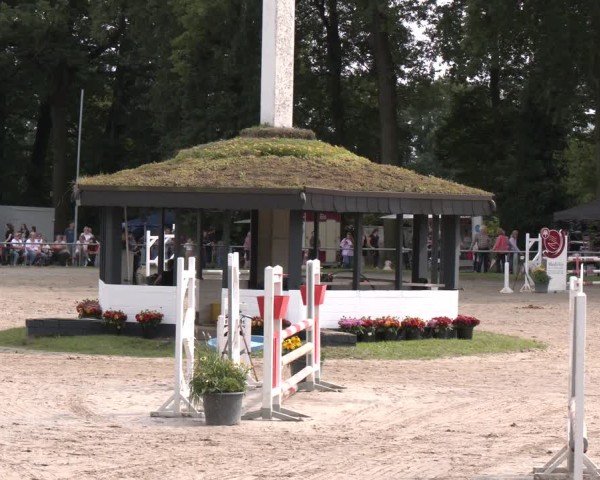 Reitturnier Datteln 2024
