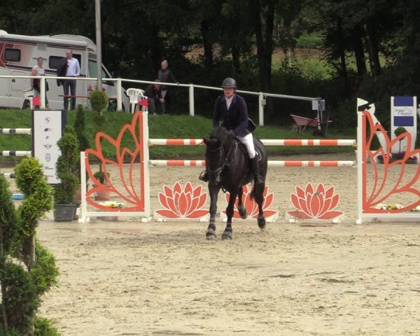 Reitturnier Bergisch Gladbach - Hebborner Hof 2024