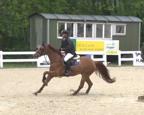 Isny-Rohrdorf 2013