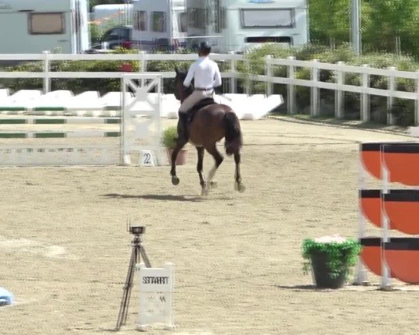 Reitturnier St. Margarethen 2024