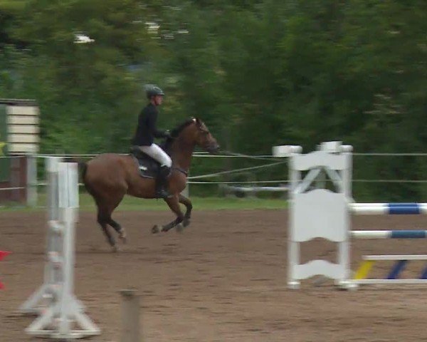 Reitturnier Demantsfürth/Mfr. 2024