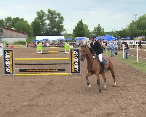Reitturnier Demantsfürth/Mfr. 2024