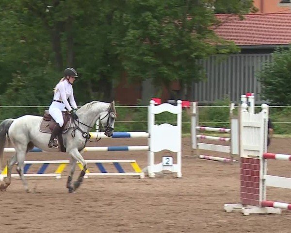 Reitturnier Demantsfürth/Mfr. 2024