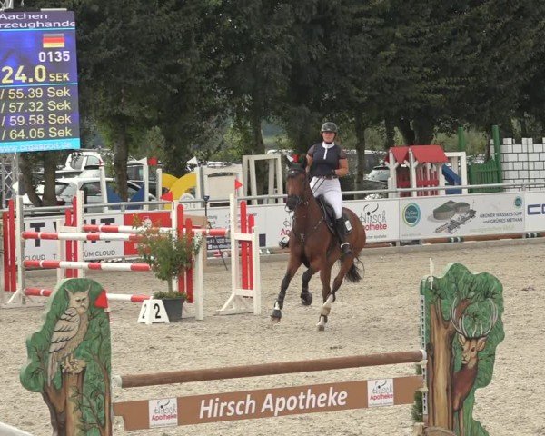 Reitturnier Stolberg-Büsbach 2024