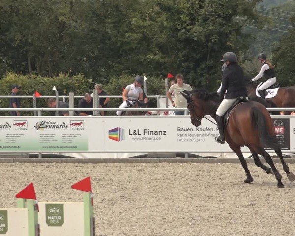 Reitturnier Stolberg-Büsbach 2024