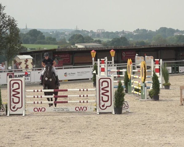 Reitturnier Stolberg-Büsbach 2024