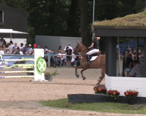 Reitturnier Datteln 2024