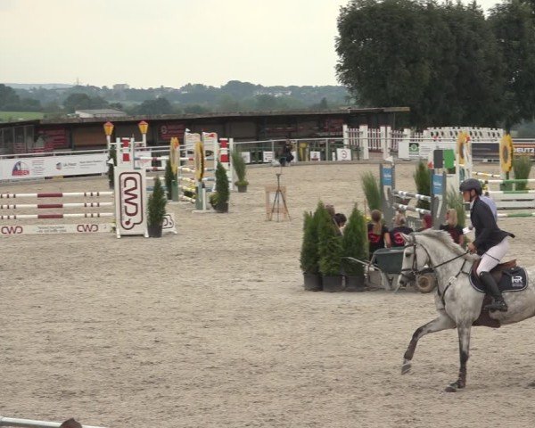 Reitturnier Stolberg-Büsbach 2024