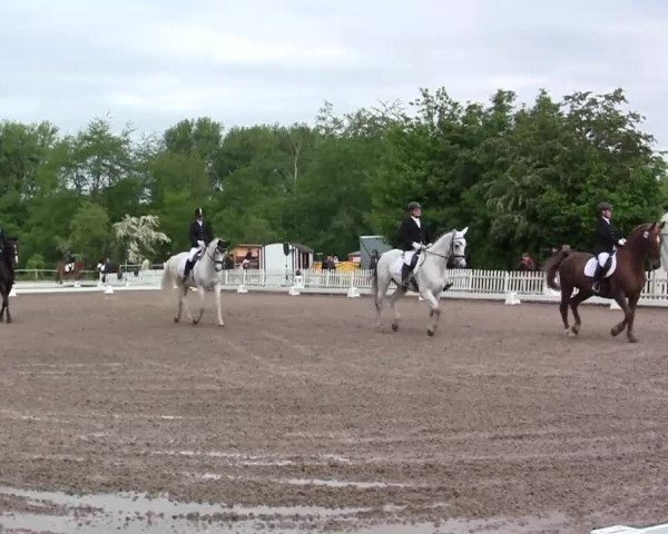 Reitturnier Düren 2013