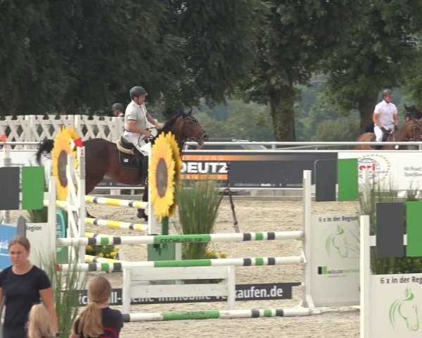 Reitturnier Stolberg-Büsbach 2024