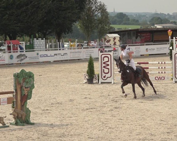 Reitturnier Stolberg-Büsbach 2024