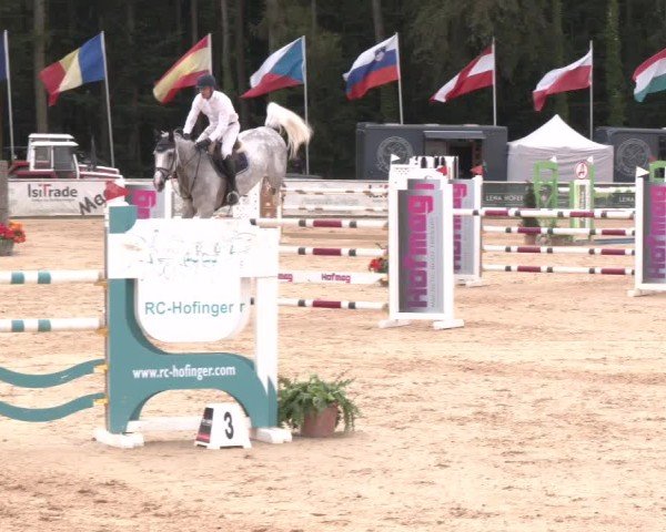 Reitturnier Ranshofen - Braunau am Inn 2024