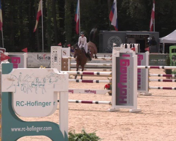 Reitturnier Ranshofen - Braunau am Inn 2024
