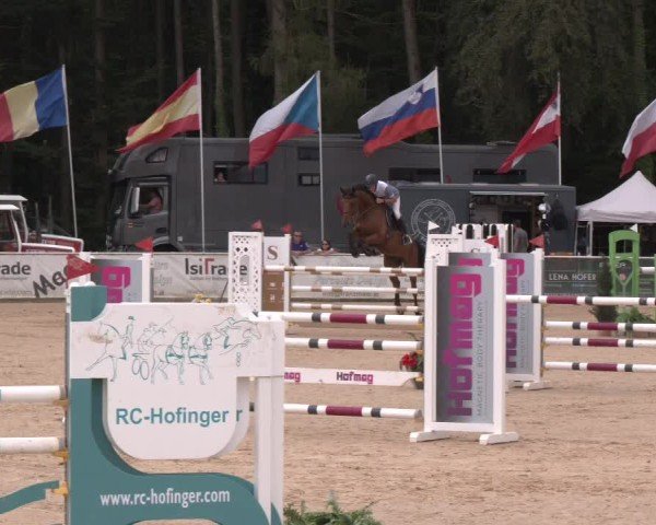 Reitturnier Ranshofen - Braunau am Inn 2024