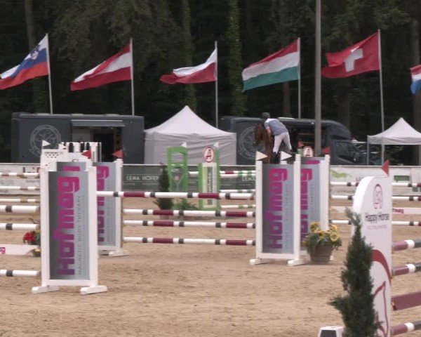 Reitturnier Ranshofen - Braunau am Inn 2024