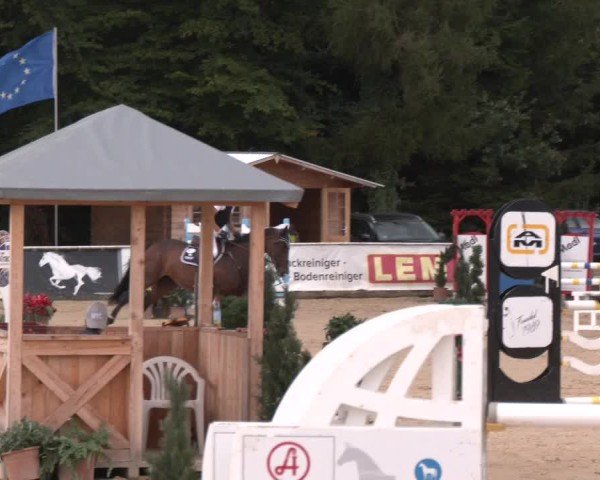 Reitturnier Ranshofen - Braunau am Inn 2024