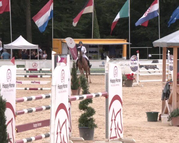 Reitturnier Ranshofen - Braunau am Inn 2024