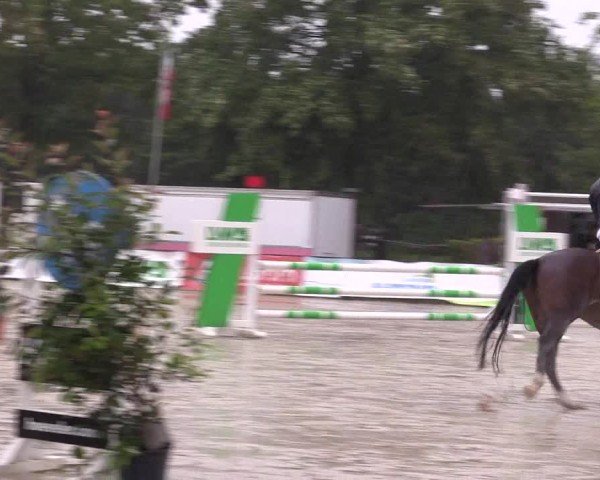 Reitturnier Münster-Albachten 2024