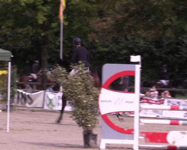 Reitturnier Münster-Albachten 2024