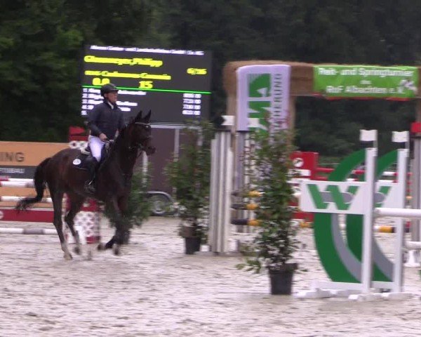 Reitturnier Münster-Albachten 2024