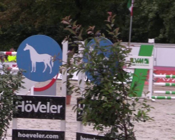 Reitturnier Münster-Albachten 2024