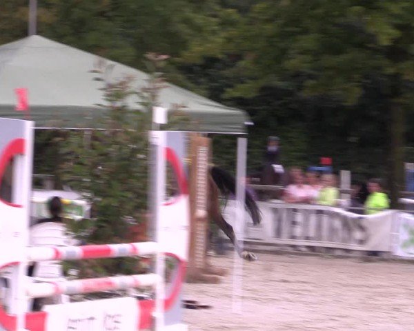 Reitturnier Münster-Albachten 2024