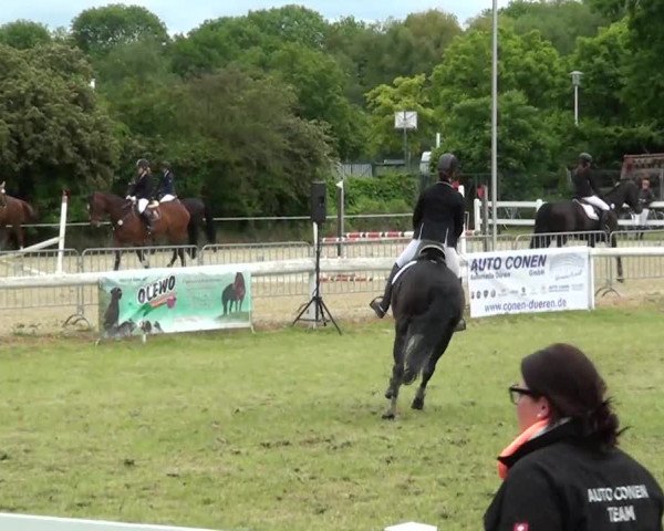 Reitturnier Düren 2013