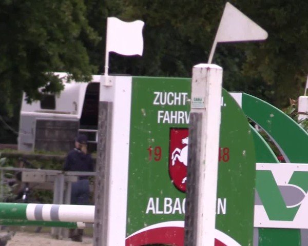 Reitturnier Münster-Albachten 2024