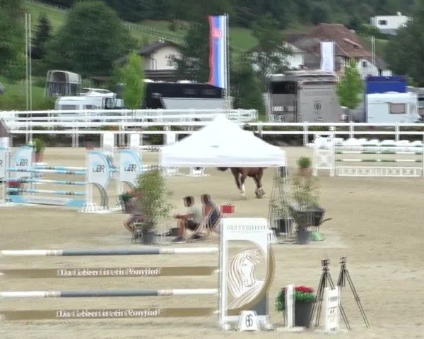 Reitturnier St. Margarethen 2024