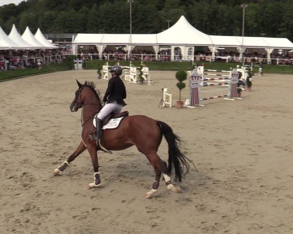 Reitturnier Bergisch Gladbach - Hebborner Hof 2024