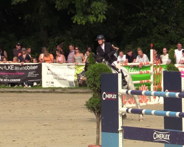 Reitturnier Bergisch Gladbach - Hebborner Hof 2024
