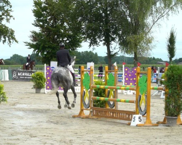 Reitturnier Dortmund-Asseln 2024