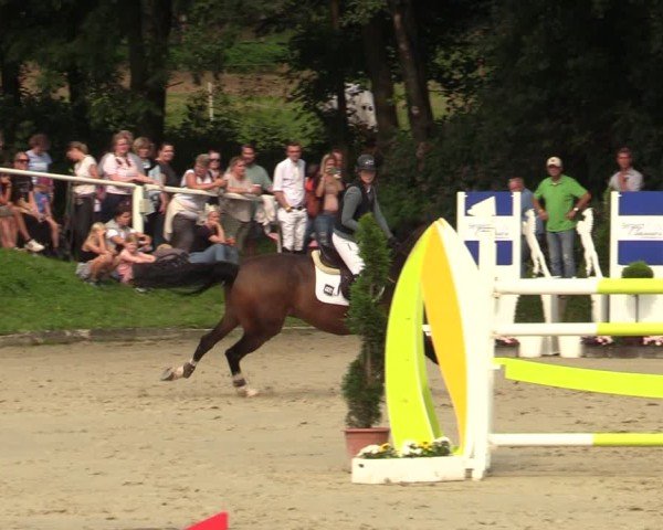 Reitturnier Bergisch Gladbach - Hebborner Hof 2024