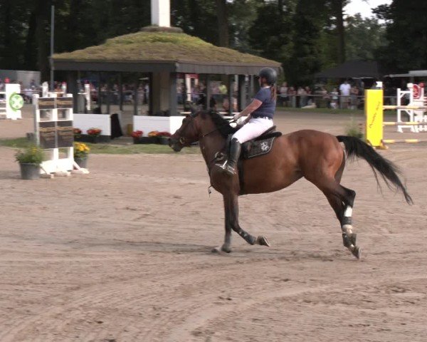 Reitturnier Datteln 2024