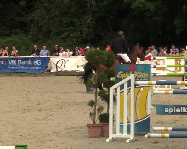 Reitturnier Bergisch Gladbach - Hebborner Hof 2024