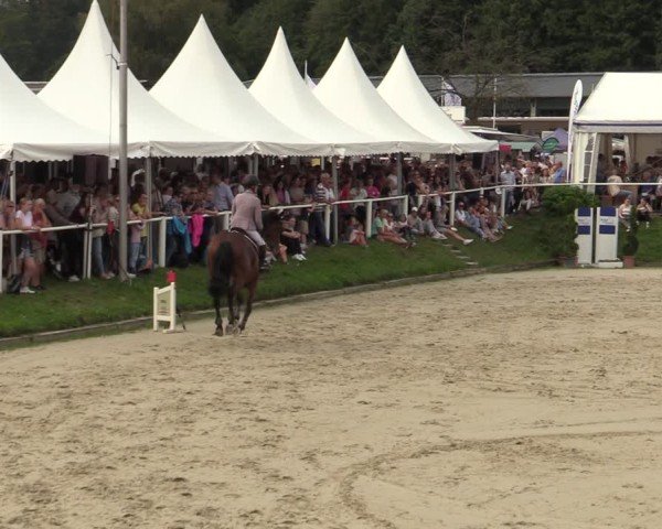 Reitturnier Bergisch Gladbach - Hebborner Hof 2024
