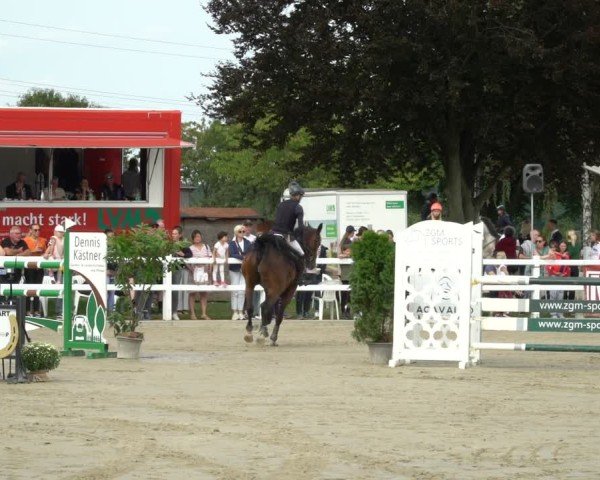 Reitturnier Dortmund-Asseln 2024