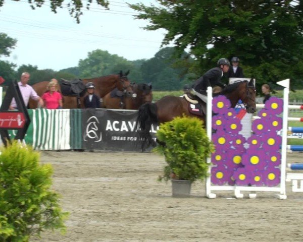Reitturnier Dortmund-Asseln 2024