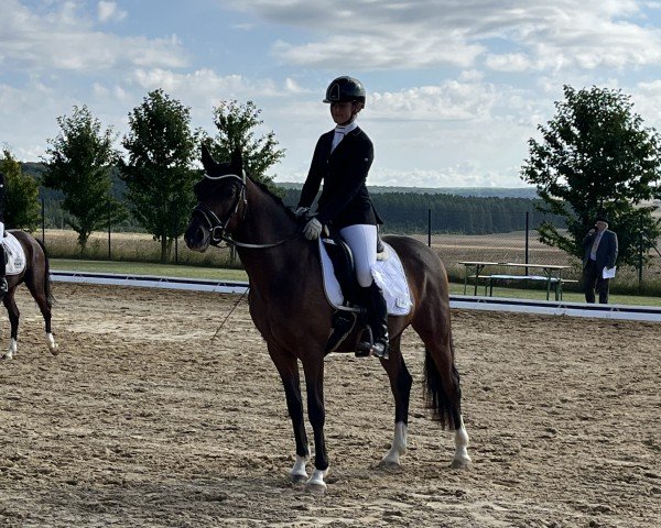 horse Dalakhani WS (German Riding Pony, 2020, from FS Don Juan de Luxe)