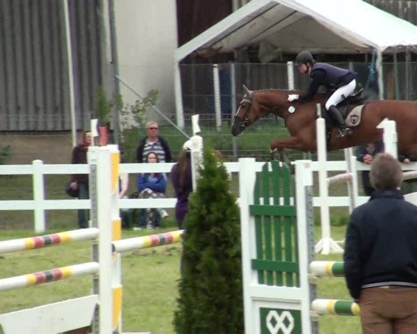 Reitturnier Düren 2013