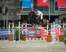 Springpferd Con Calisto 3 (Holsteiner, 2016, von Cornet Obolensky)